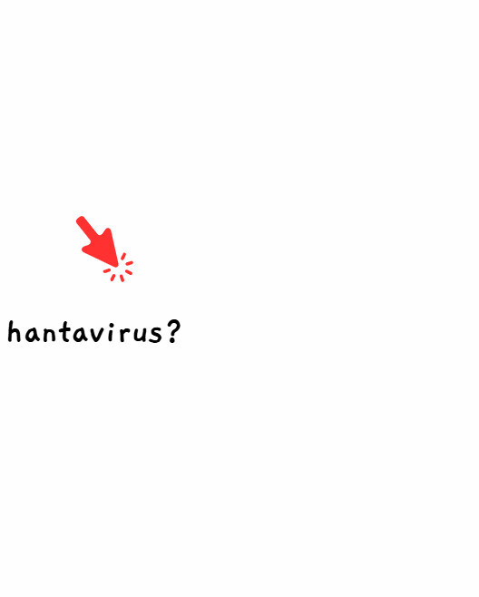 hantavirus