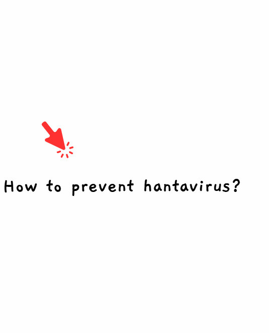 hantavirus
