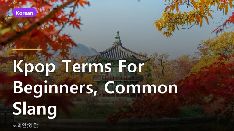 kpop terms for beginners